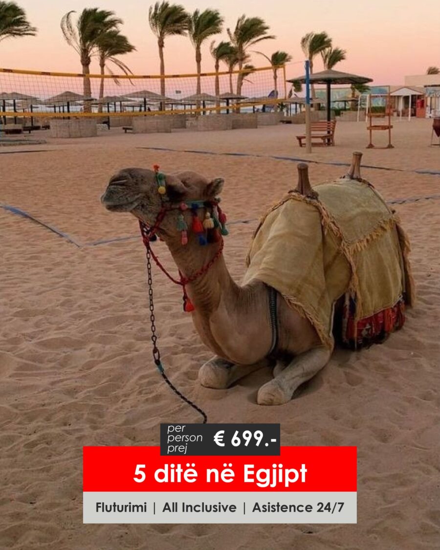 oferta-per-egjipt