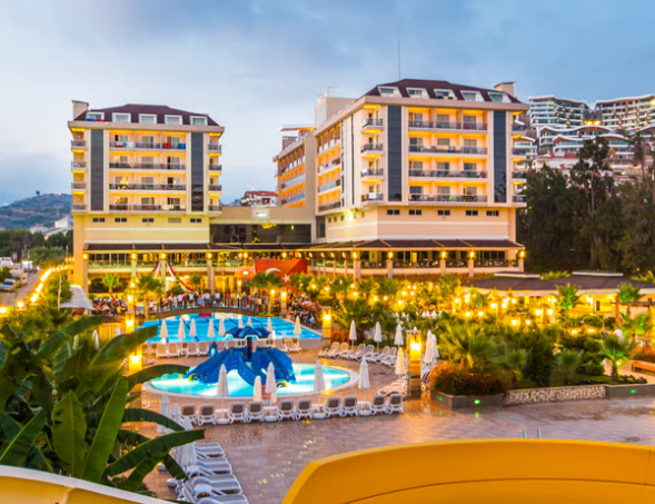 dizalya palm gardn